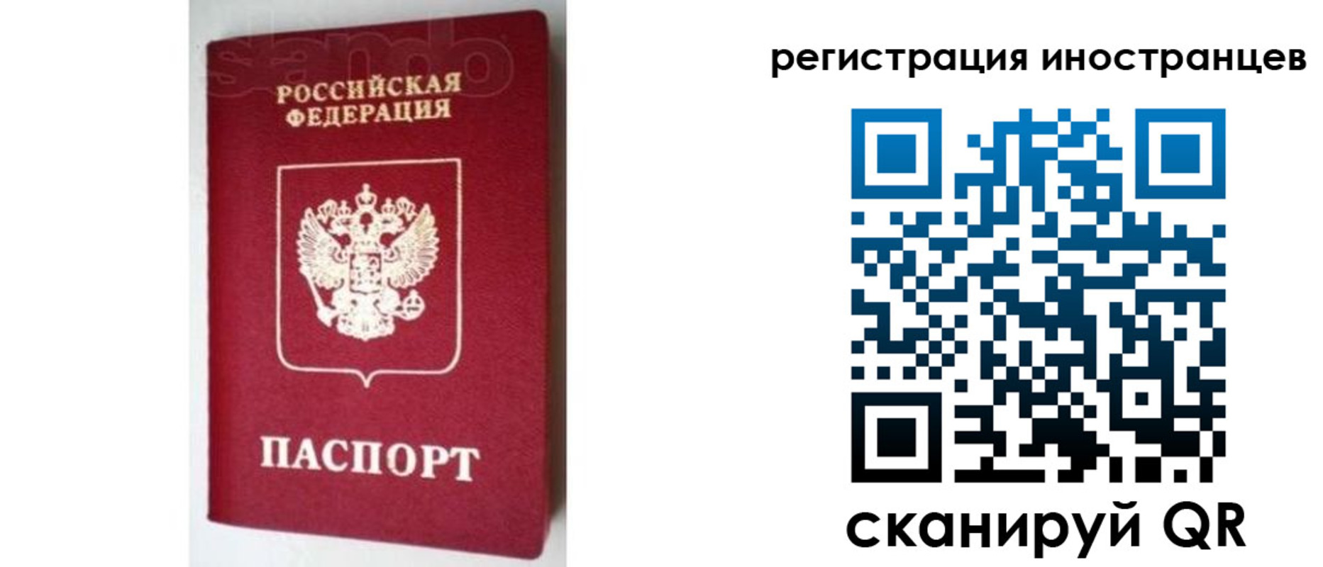 прописка для работы в Лосино-Петровском